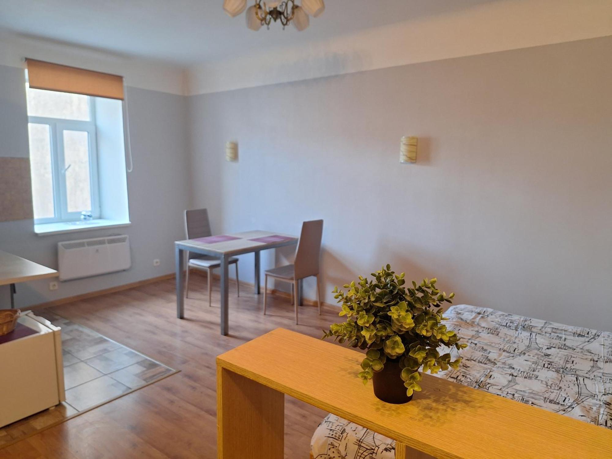 Bright And Cozy Studio In City Centre 里加 外观 照片